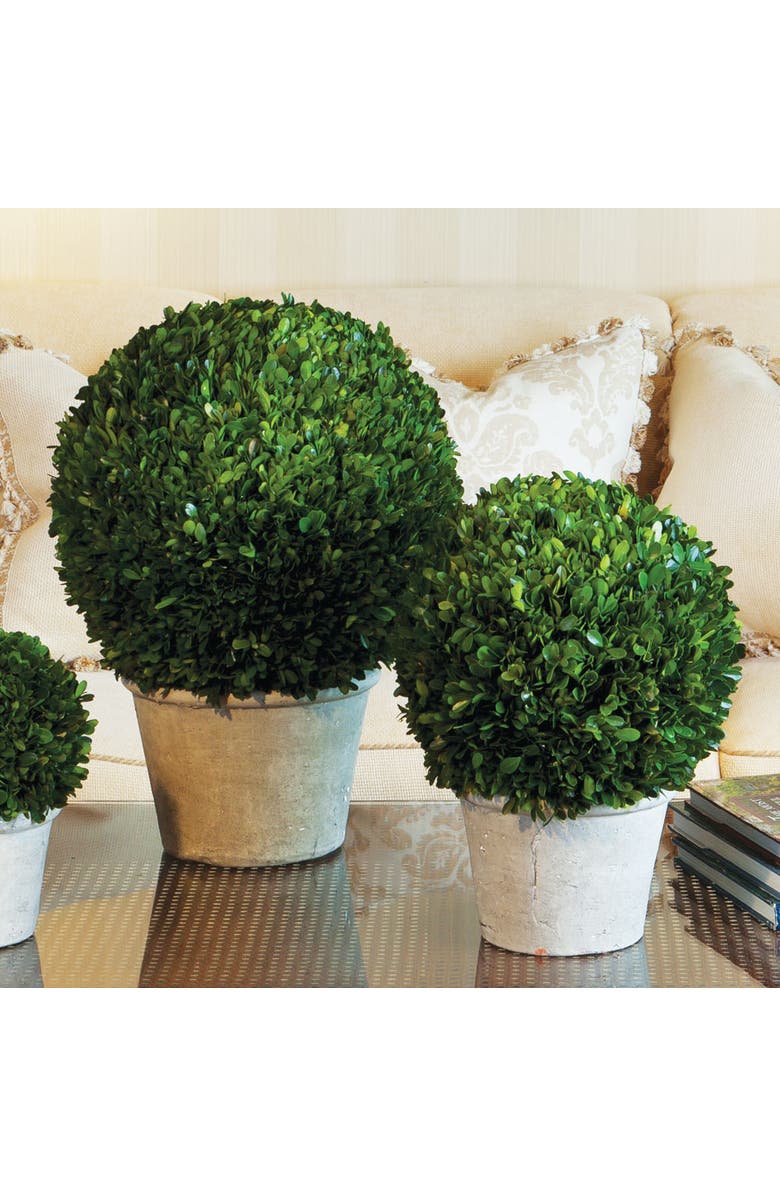 Napa Home & Garden Boxwood 12" Faux (Fake) Ball In Pot, Alternate, color, Green