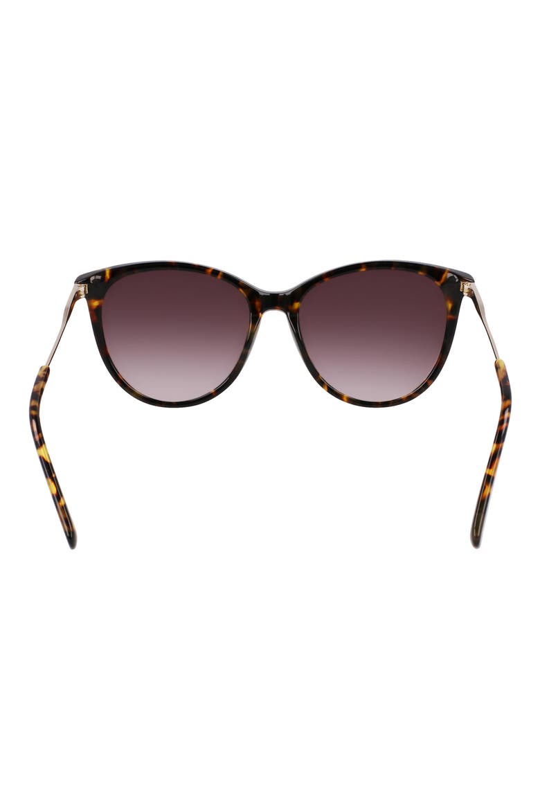 55mm Gradient Tea Cup Sunglasses, Alternate, color, DARK HAVANA