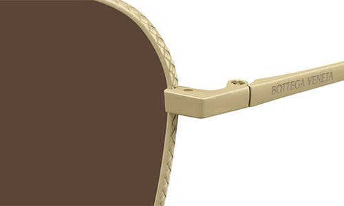 Bottega Veneta 55mm Square Sunglasses In Brown