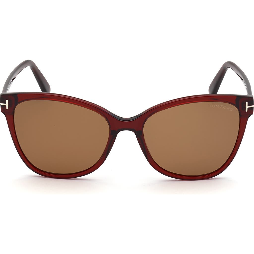 Tom Ford 58mm Cat Eye Sunglasses In Red