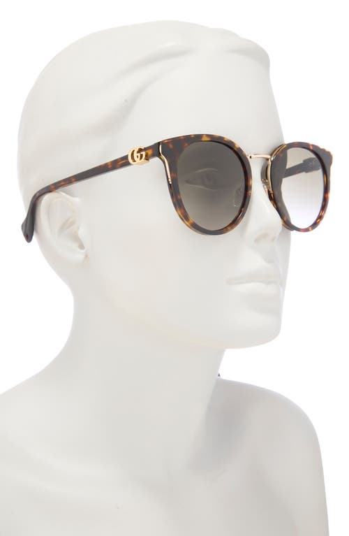 Gucci 55mm Round Sunglasses In Havana Havana Brown