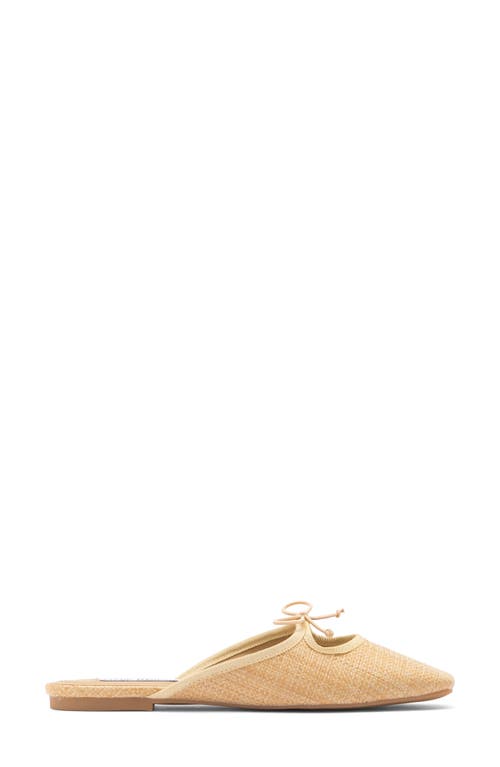 STEVE MADDEN STEVE MADDEN MARCELA BOW MULE 