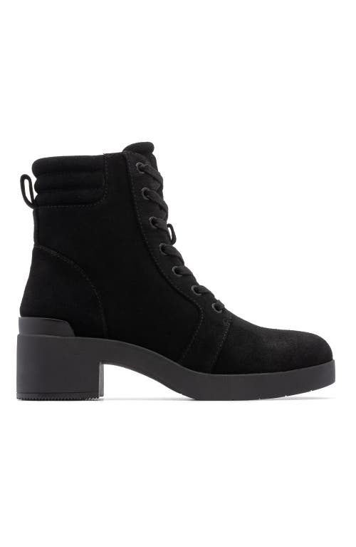 Abeo Capital Lace Boot In Black - Regular