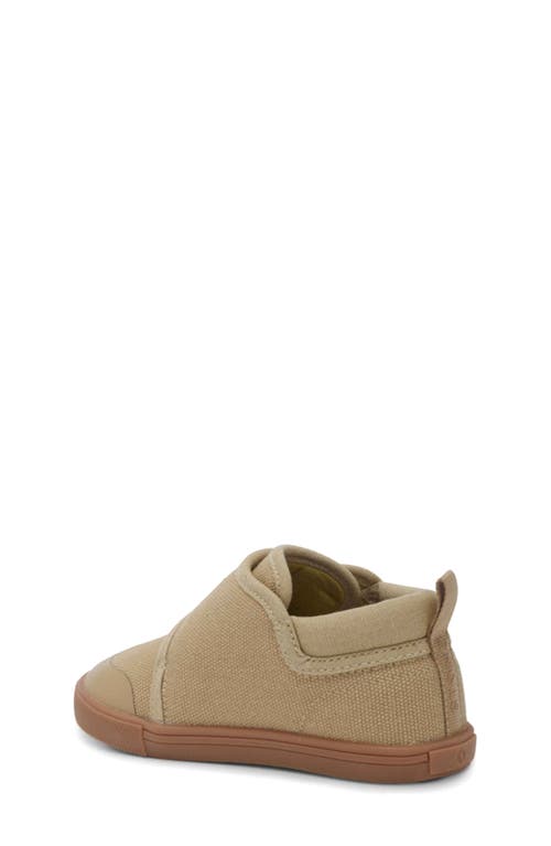 Stonz Cruiser Sneaker In Tan