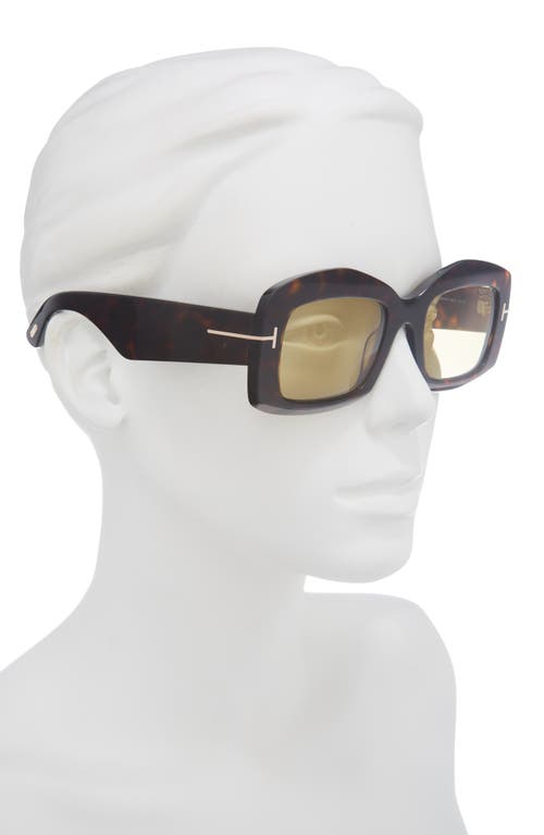 Tom Ford 53mm Square Sunglasses In Brown