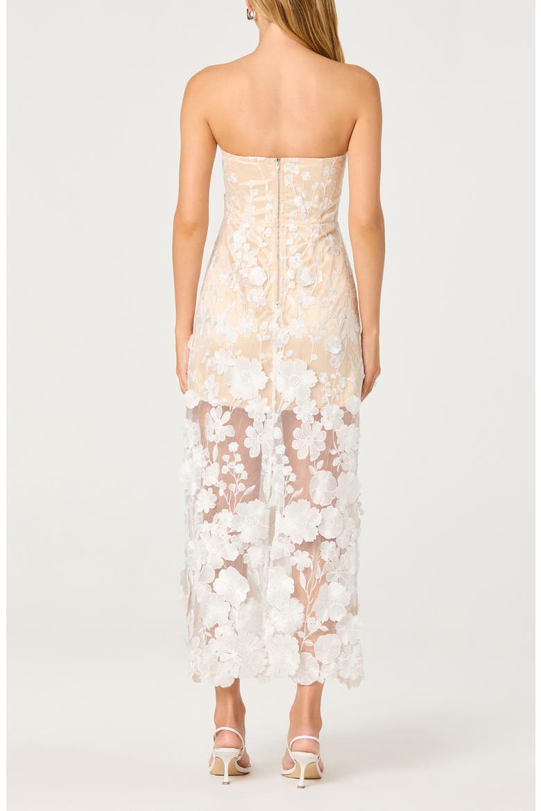 Tanisha 3D Floral Appliqué Semi Sheer Midi Dress, Alternate, color, WHITE