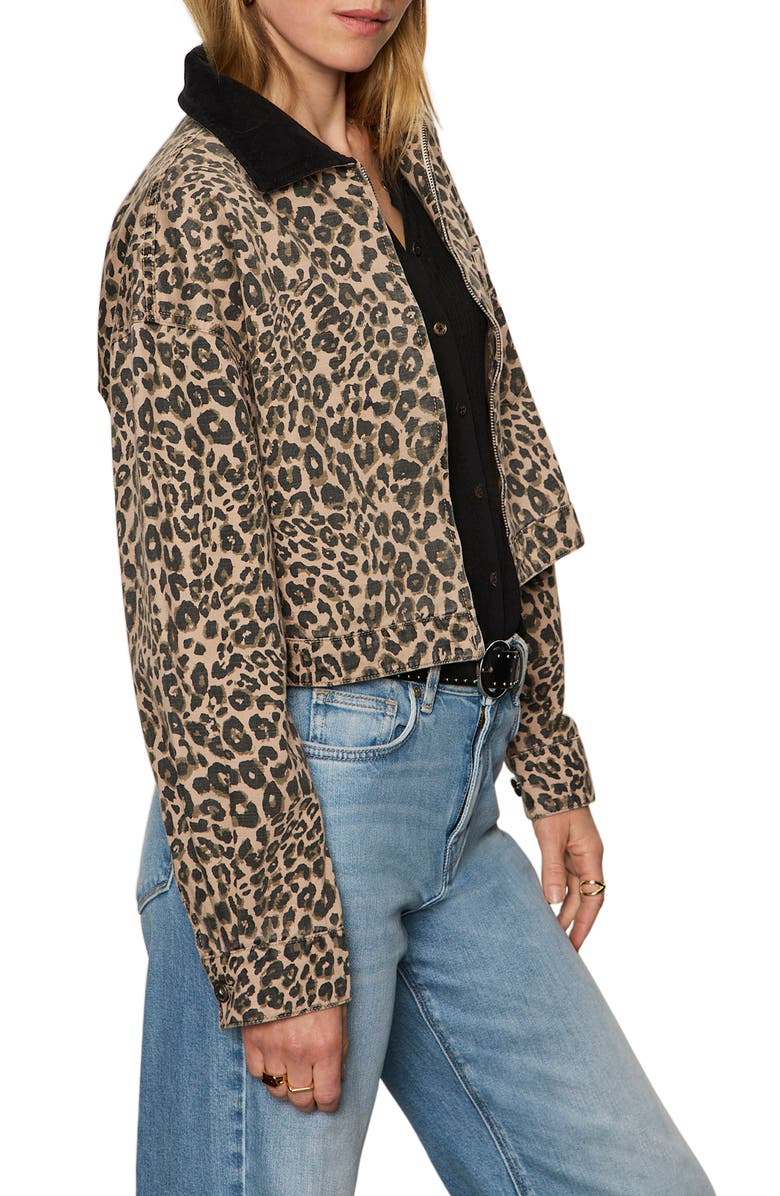 Sanctuary Leopard Print Crop Barn Jacket, Alternate, color, French Kitty