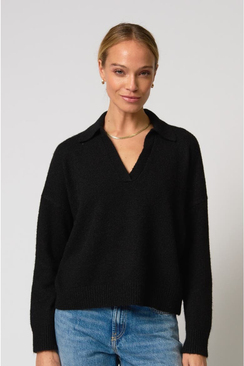 Robbie V-Neck Polo, Main, color, Black