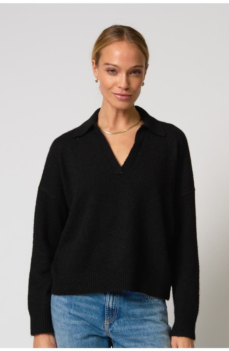 Central Park West Robbie V-Neck Polo, Main, color, Black