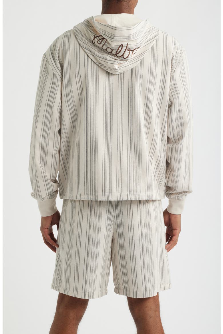 Arena Hooded Jacket, Alternate, color, CREAM STRIPE