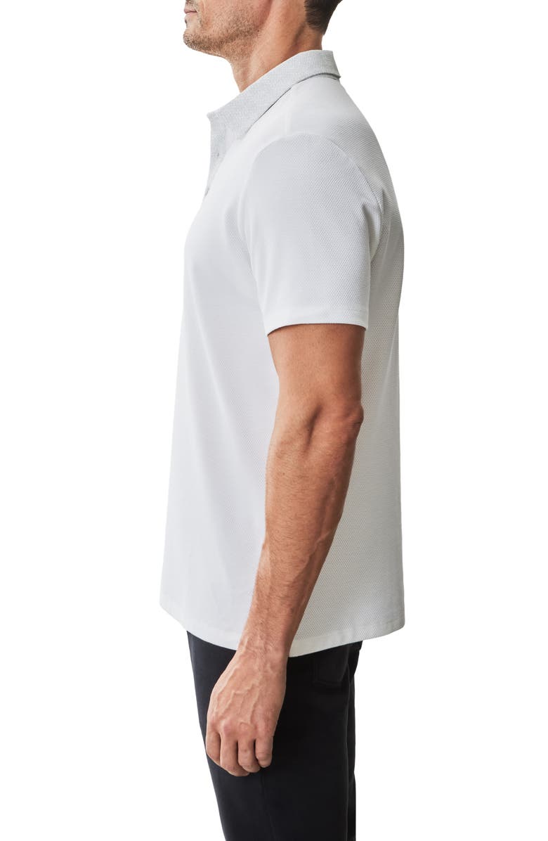 Robert Barakett Baytides Contrast Collar Polo, Alternate, color, White