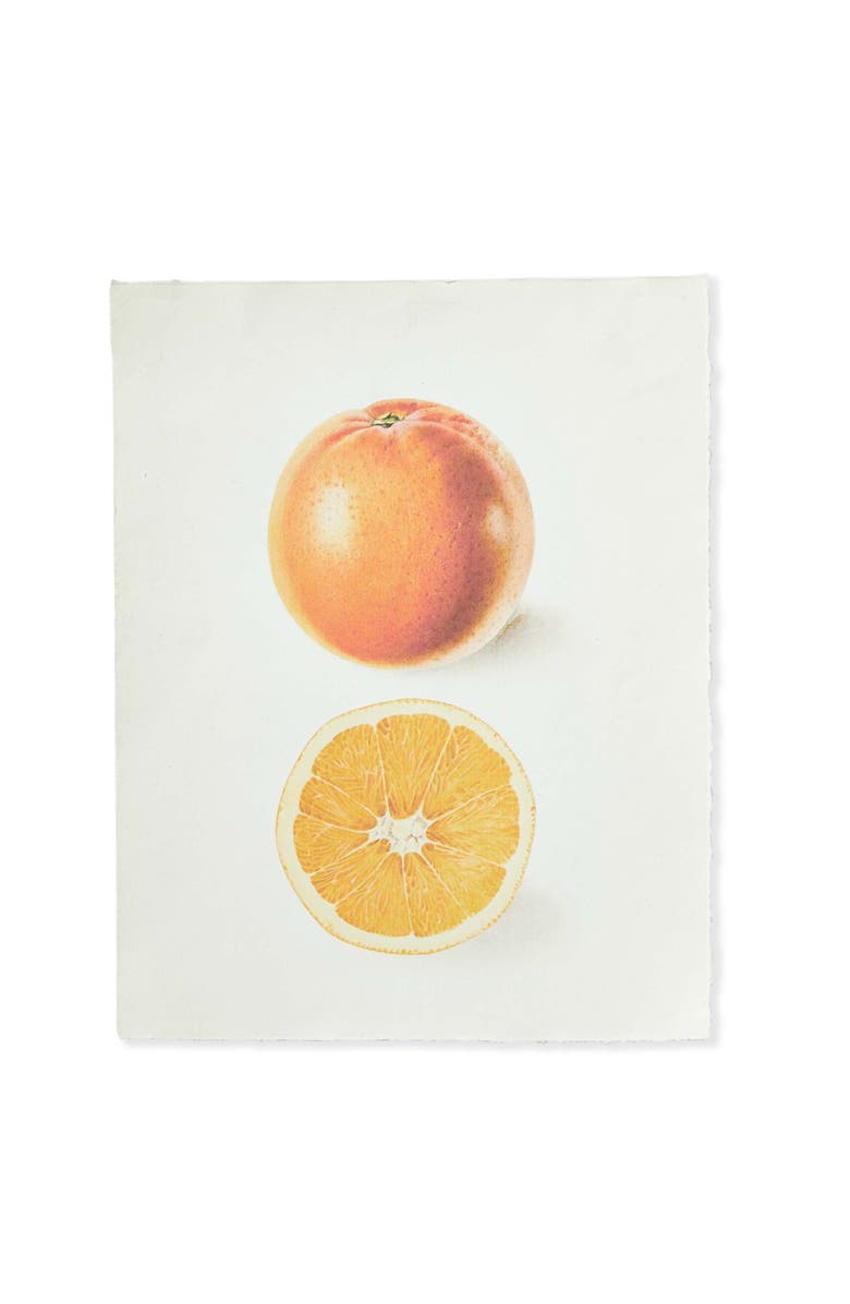 tag Orange Deckled Edge Print Wall Art Multicolor Indoor Decor, Main, color, Multicolored