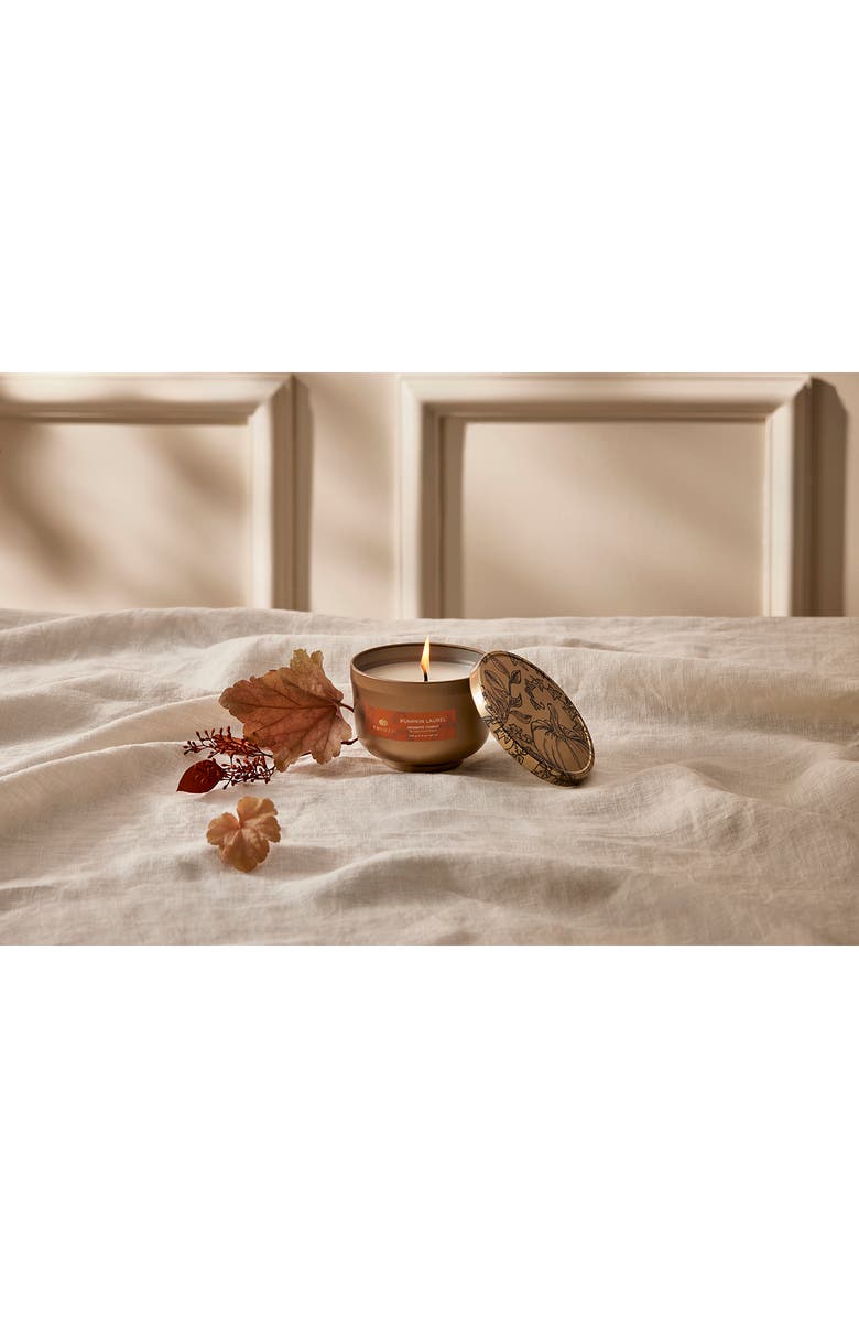 Thymes Pumpkin Laurel Tin Candle, Alternate, color, 