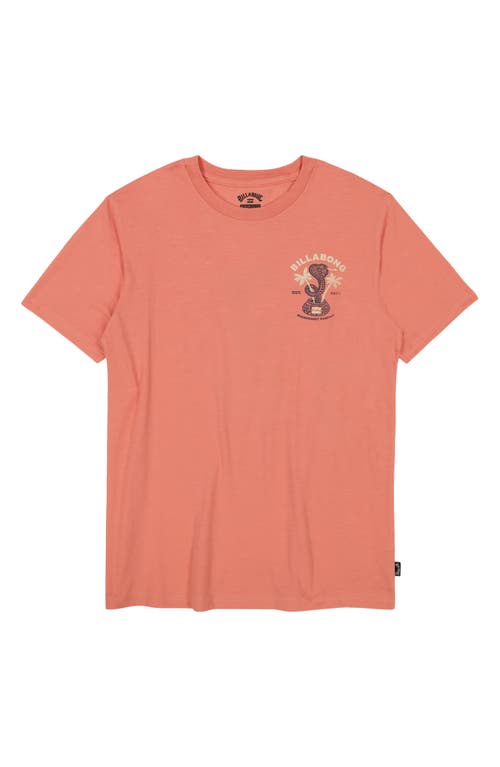 Billabong Kids' Cobra Graphic T-shirt