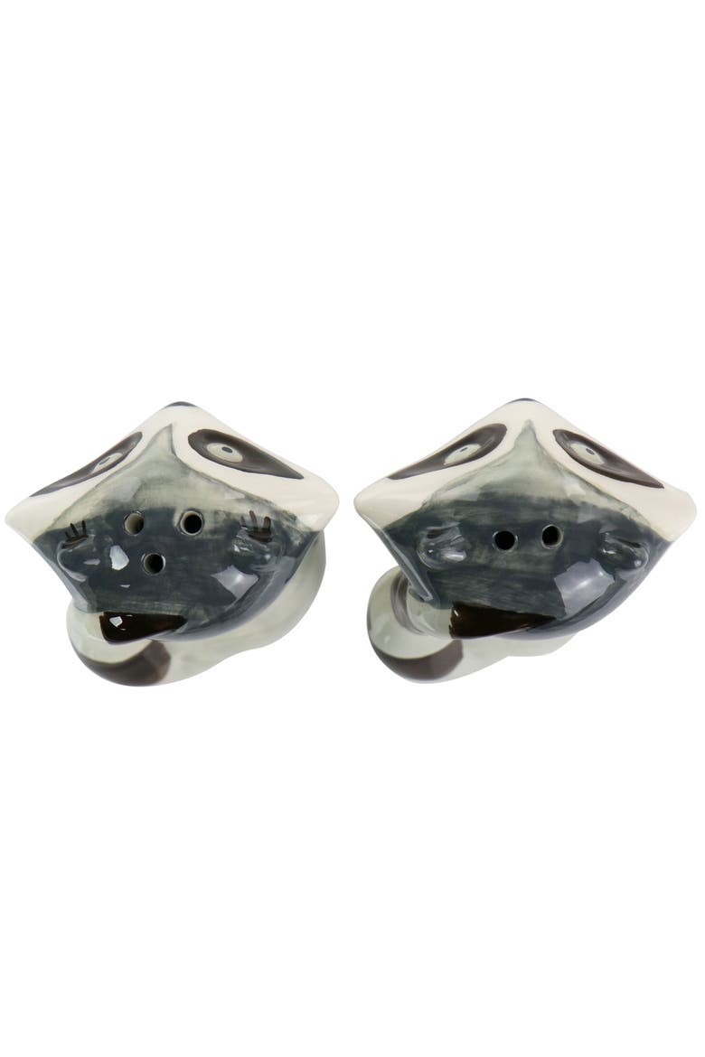 Raccoon 2 Piece Hard Dolomite Salt and Pepper Set, Alternate, color, Multi