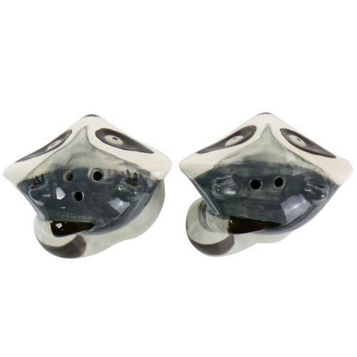 Gibson Home Woodland Raccoon 2 Piece Hard Dolomite Salt And Pepper Set In Multi