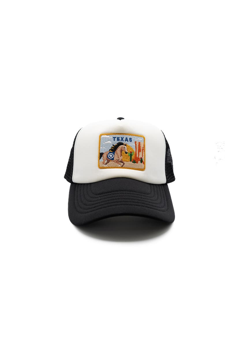 Rey To Z Texas Postcard Trucker Hat, Main, color, Black & White