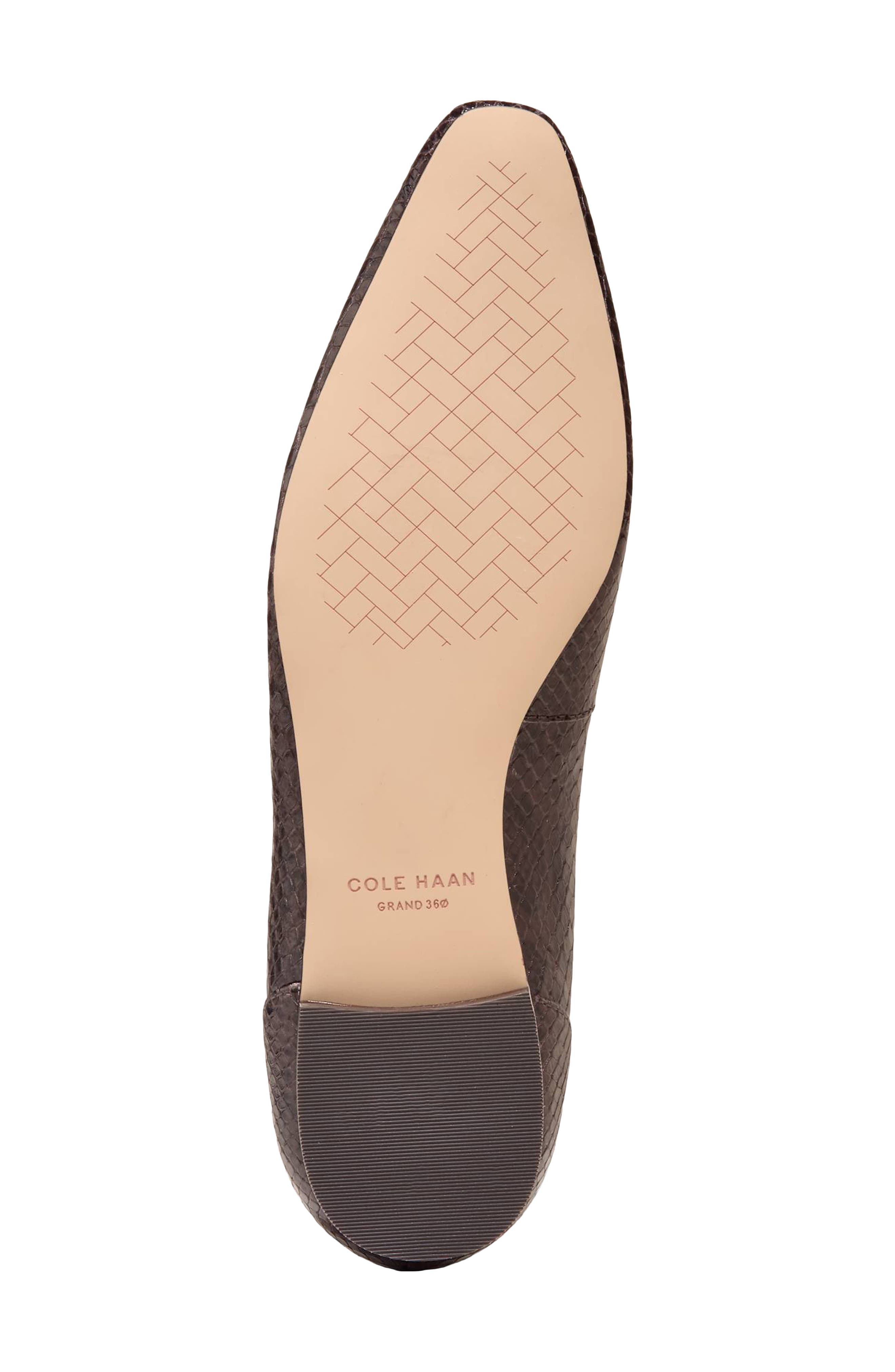 Paget Leather Ballet Flat, Alternate, color, DARK CHOCOLATE SNAKE PRINT