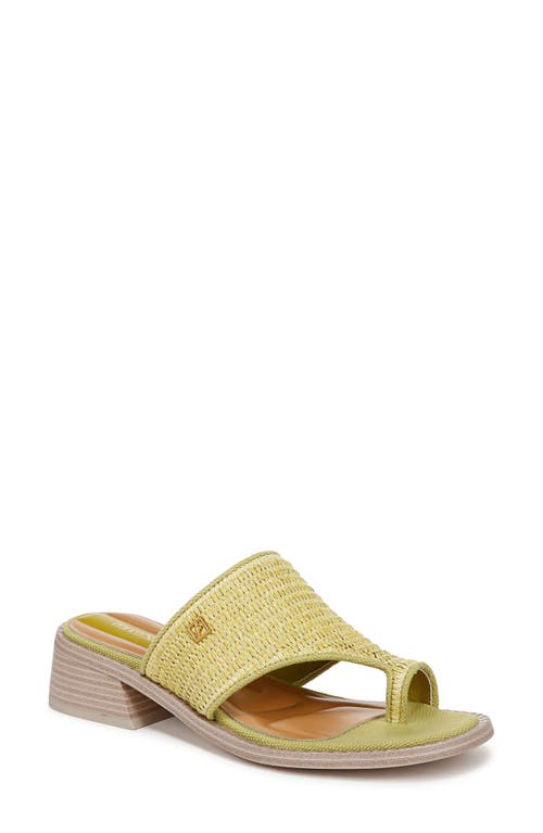 Shop Franco Sarto Sia Slide Sandal In Green
