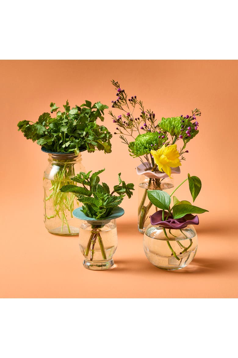 Botanical and Produce Keeper 2 pack, Alternate, color, Assorted