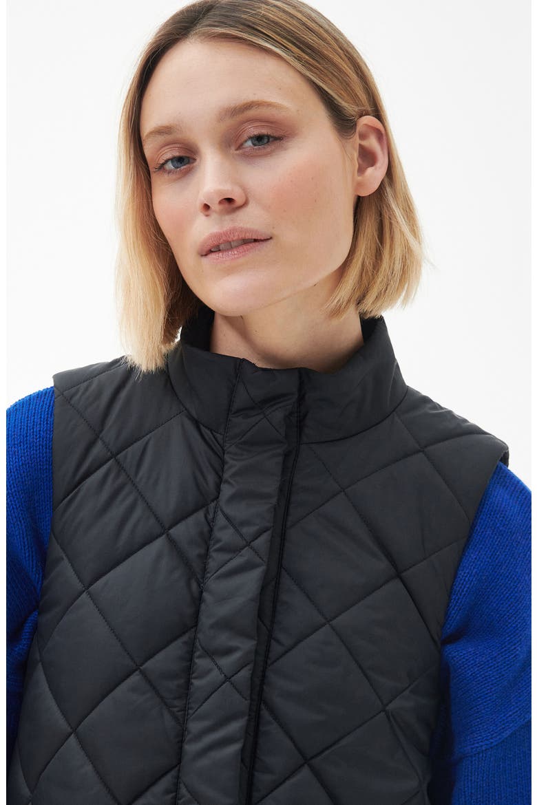 Cosmia Quilted Liner Vest, Alternate, color, BLACK