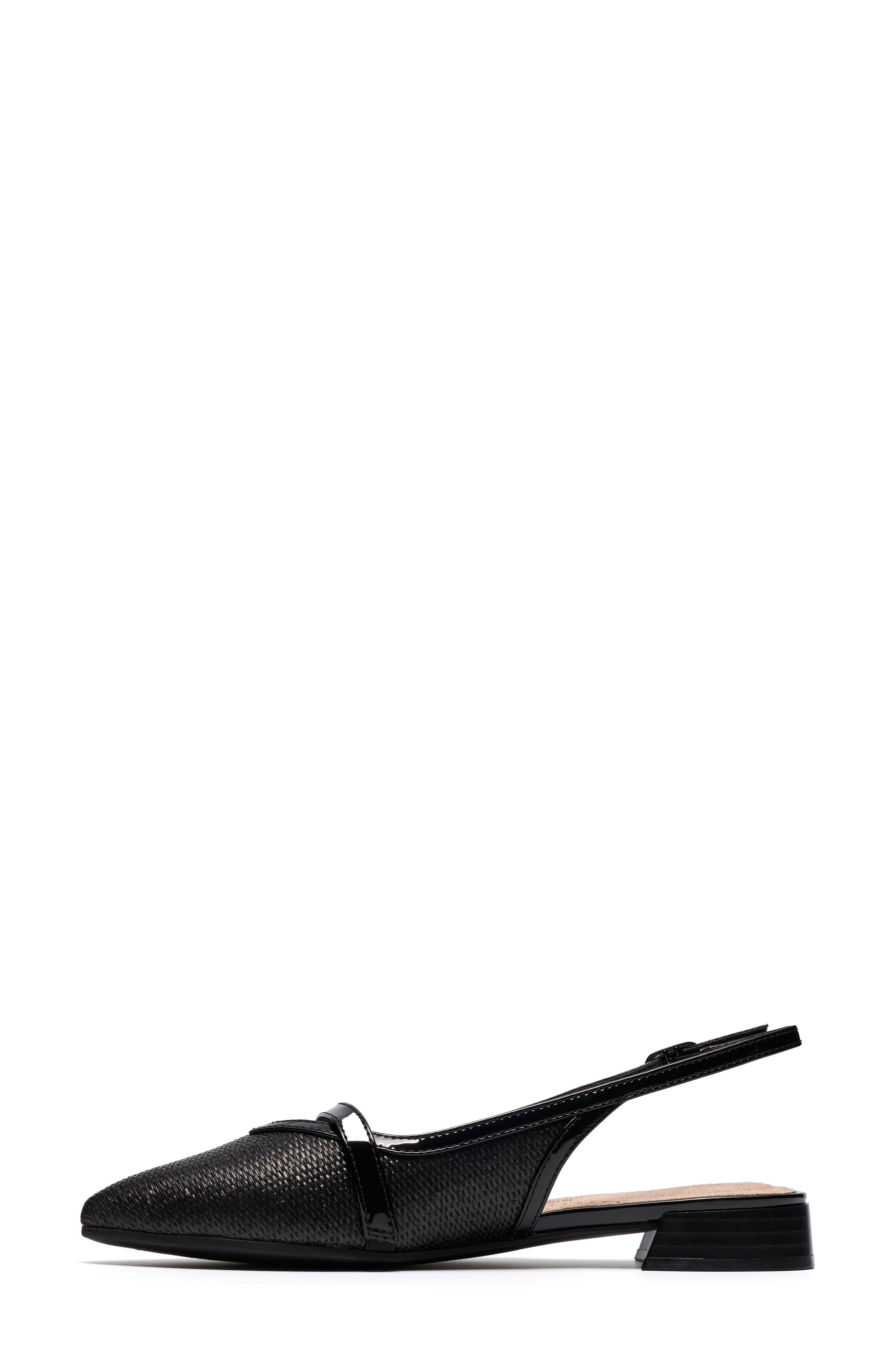 Natalyn Pointed Toe Slingback Flat, Alternate, color, BLACK RAFFIA