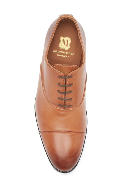 Bruno Magli Ricci Leather Oxford In Cognac