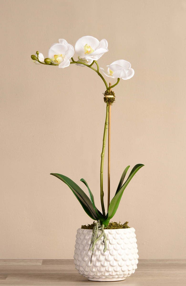 Bloomr Pearl Orchid Planter Decoration, Alternate, color, 