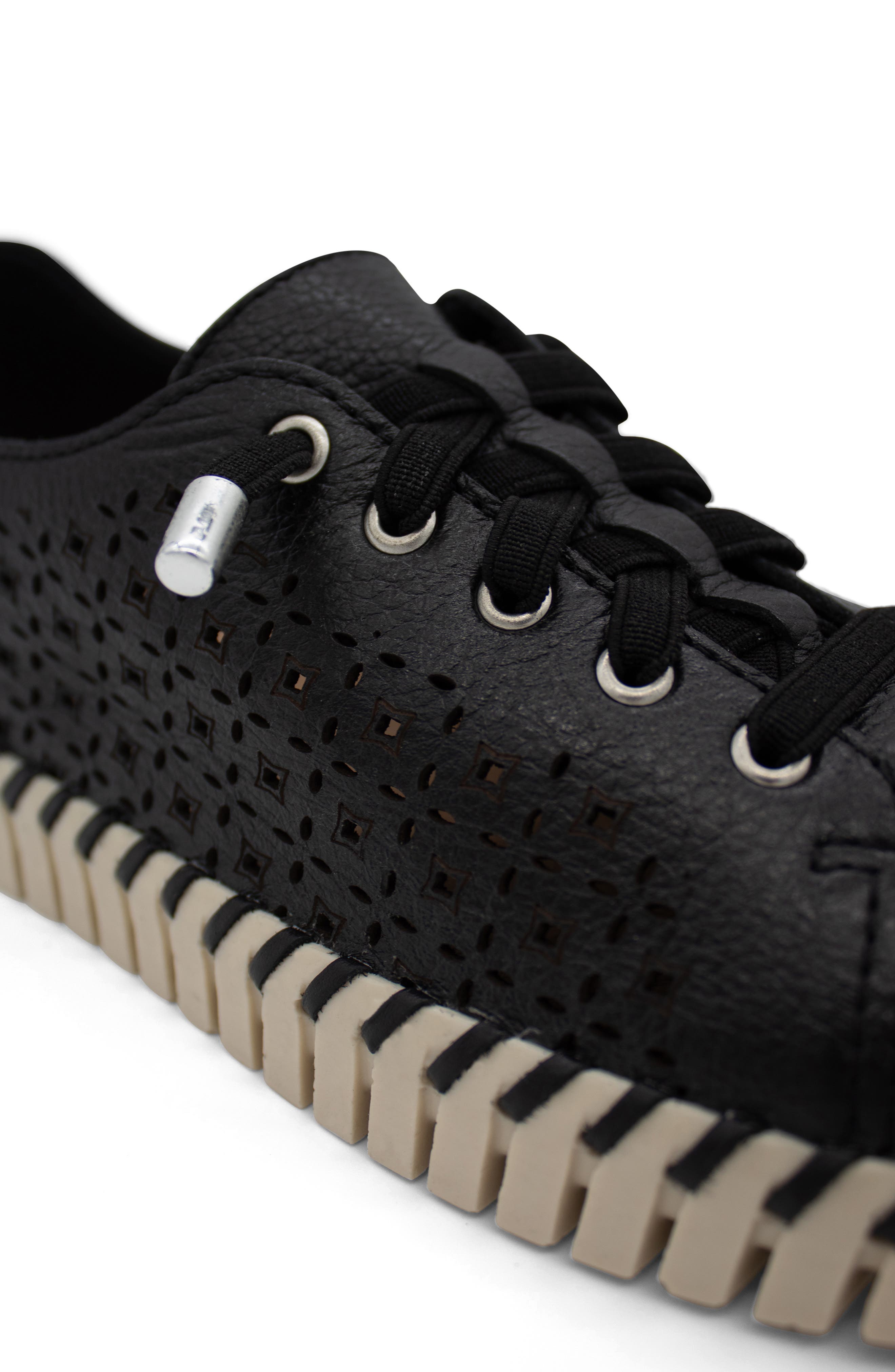 Bottero Bottwister Sport Sneaker, Alternate, color, Preto