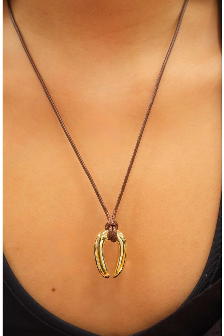 Serena Upside Down Horseshoe Pendant Cord Necklace, Alternate, color, GOLD/ BROWN