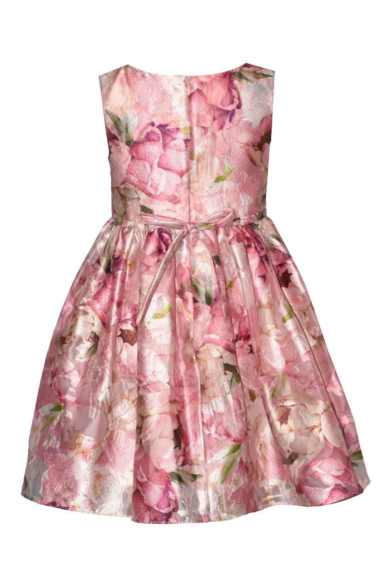 Kids' Burount Jacquard Party Dress, Alternate, color, BLUSH