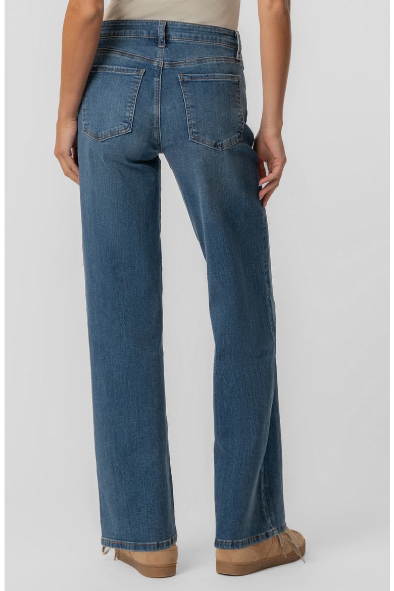 Jodi High Waist Straight Leg Jeans, Alternate, color, AMUSEMENT