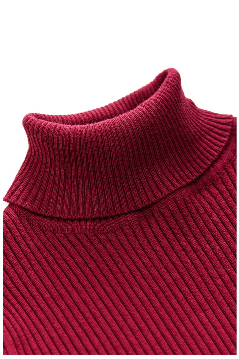 Kids' Rib Turtleneck Sweater, Alternate, color, RED