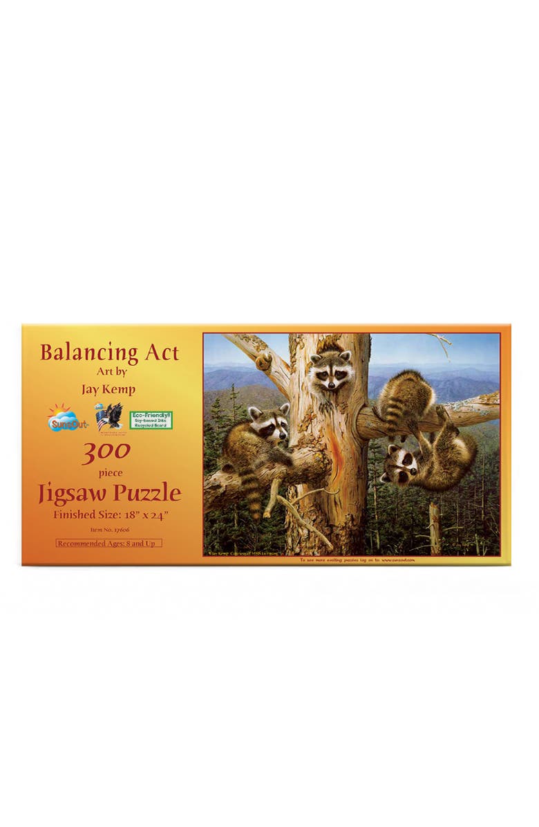 Sunsout Balancing Act 300 piece Jigsaw Puzzle for Adults, Alternate, color, Multicolor