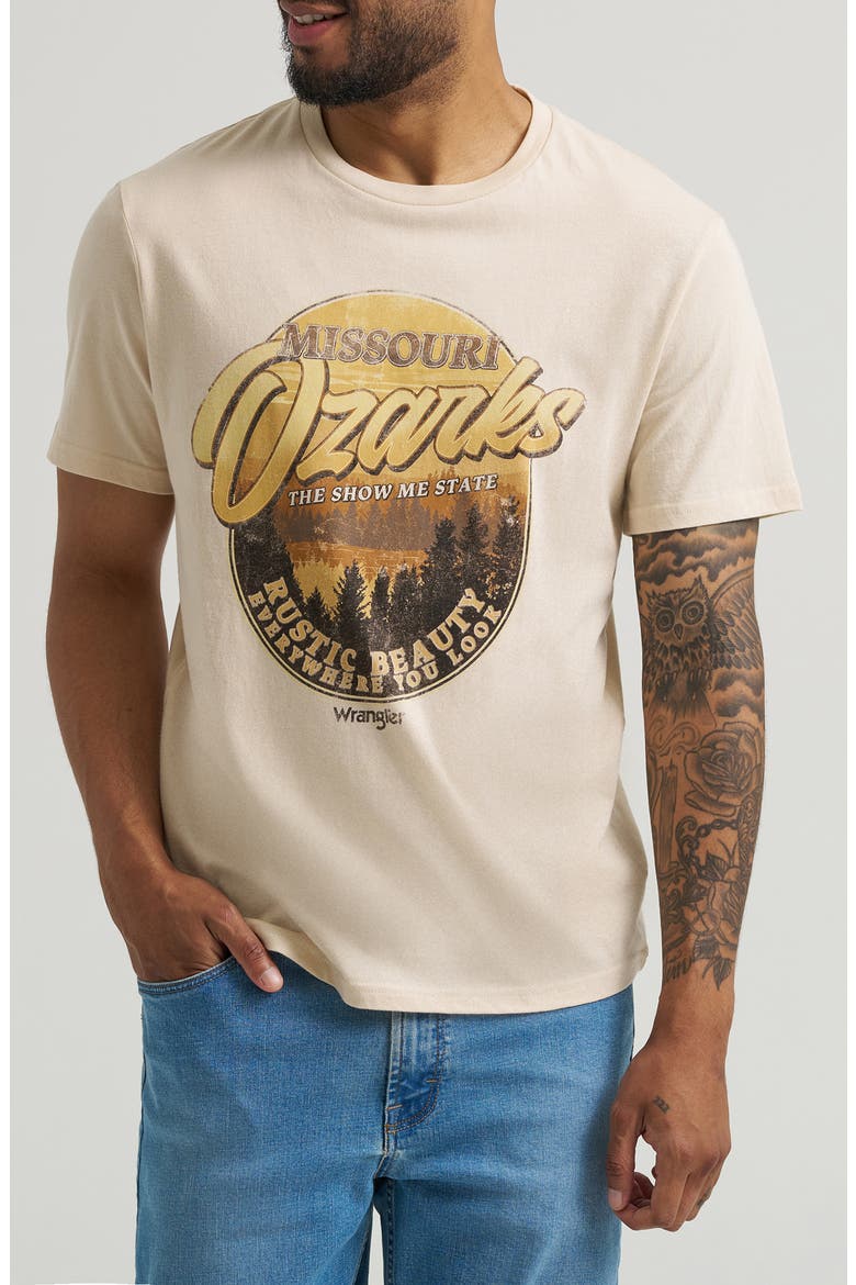 Ozarks Graphic T-Shirt, Main, color, FOG
