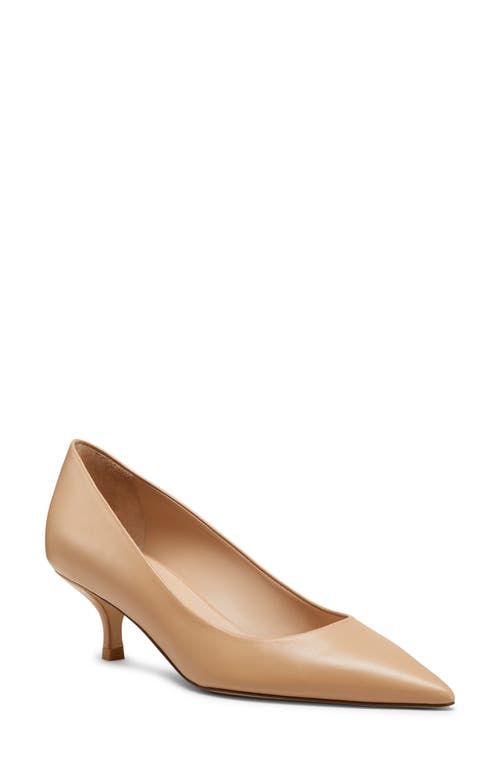 Stuart Weitzman Stuart Pointed Toe Kitten Heel Pumps In Adobe