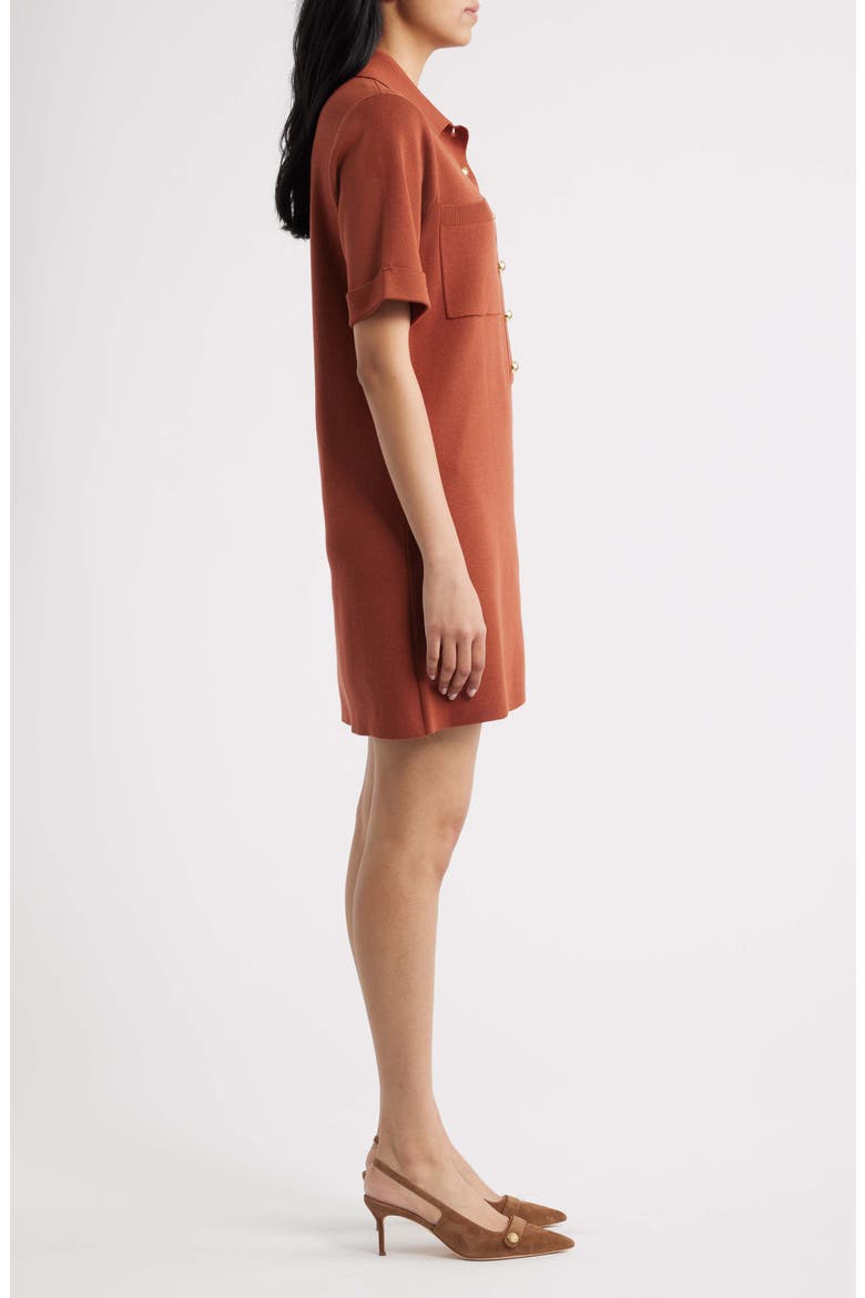 Polo Sweater Dress, Alternate, color, RUST