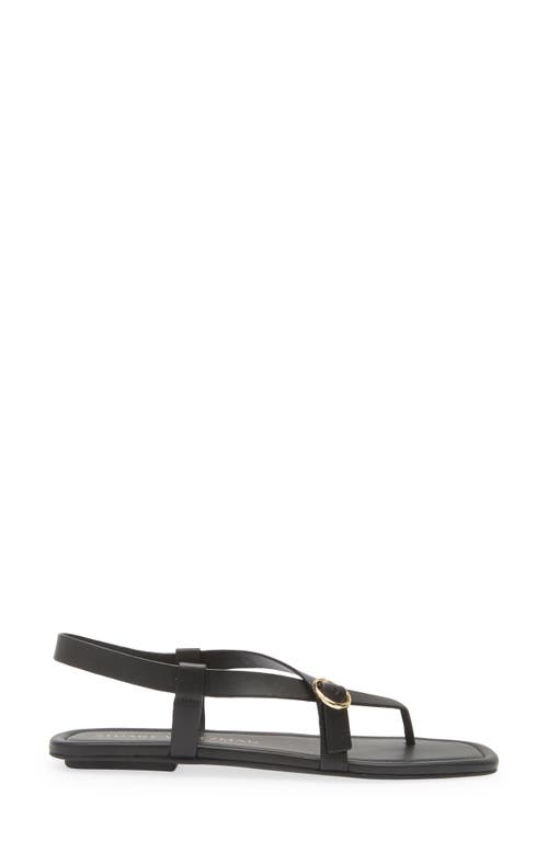 Stuart Weitzman Benni Slingback Flat Sandal In Black