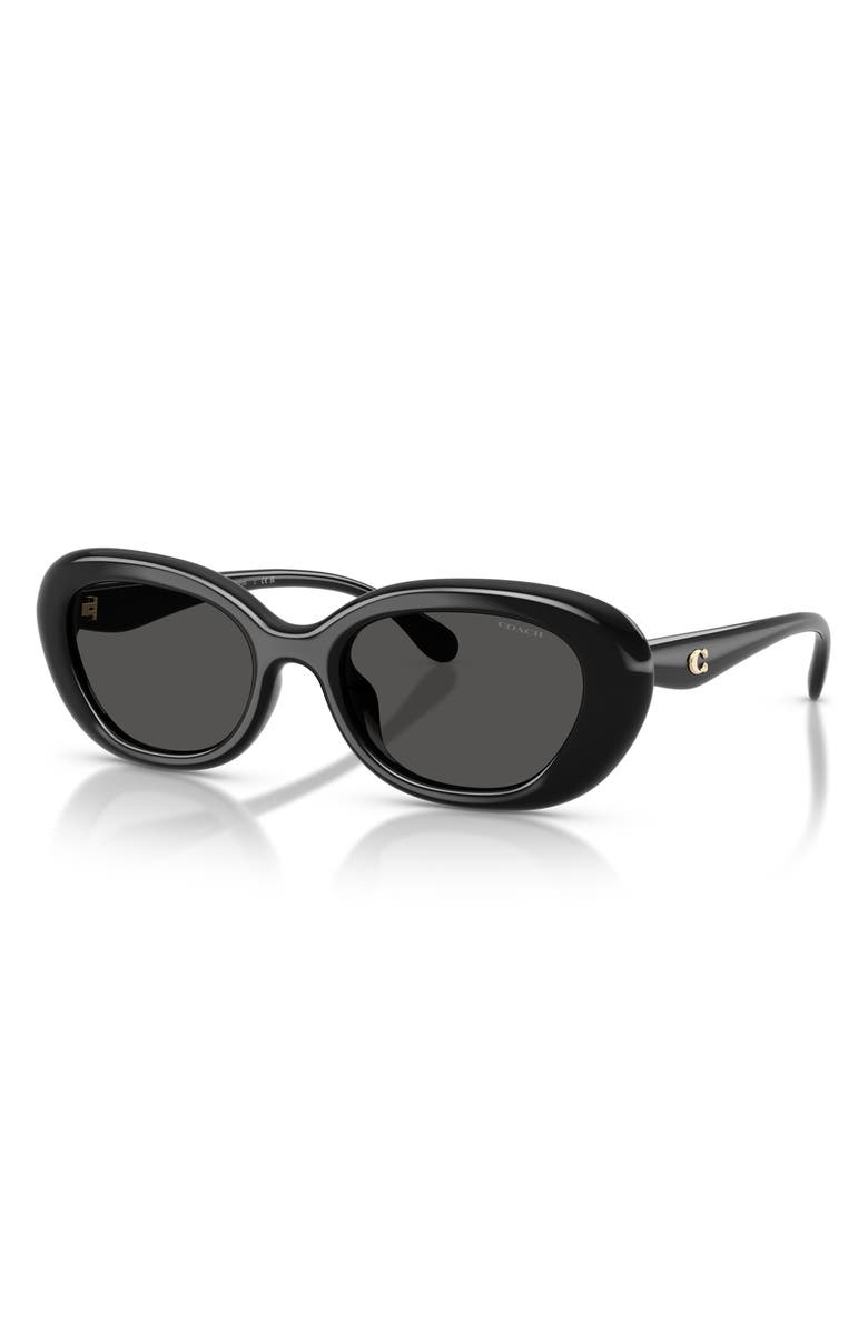 COACH 54mm Pillow Oval Sunglasses, Alternate, color, 