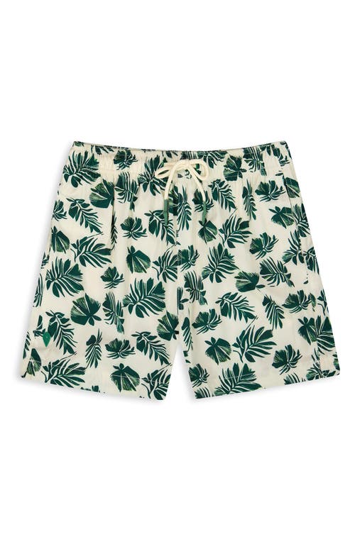 Sunset X Vine Leaf Print Swim Trunks