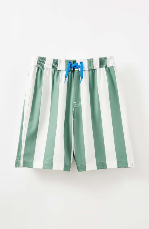 Shop Cotton On Kids Kid's Bobby Stretch Board Short In Moss Green Vanilla Block