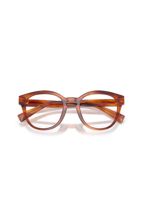 Dolce & Gabbana Dolce&gabbana 50mm Phantos Optical Glasses In Brown
