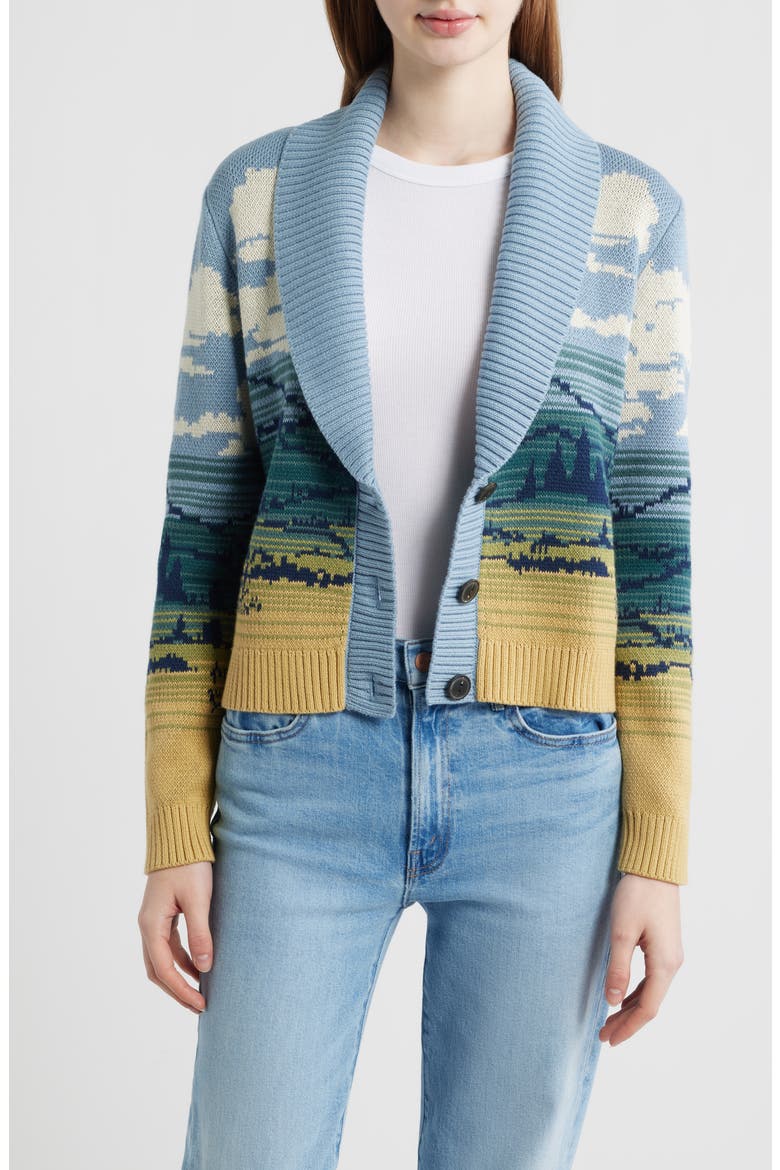 Big Sky Cardigan, Alternate, color, BLUE/ YELLOW MULTI