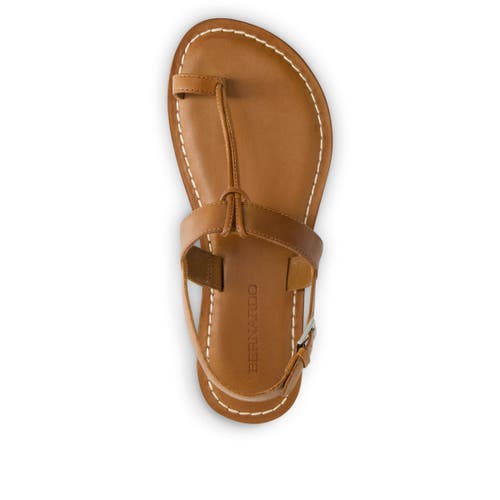 Bernardo Footwear Maverick 2 Toe Loop Sandal In Luggage