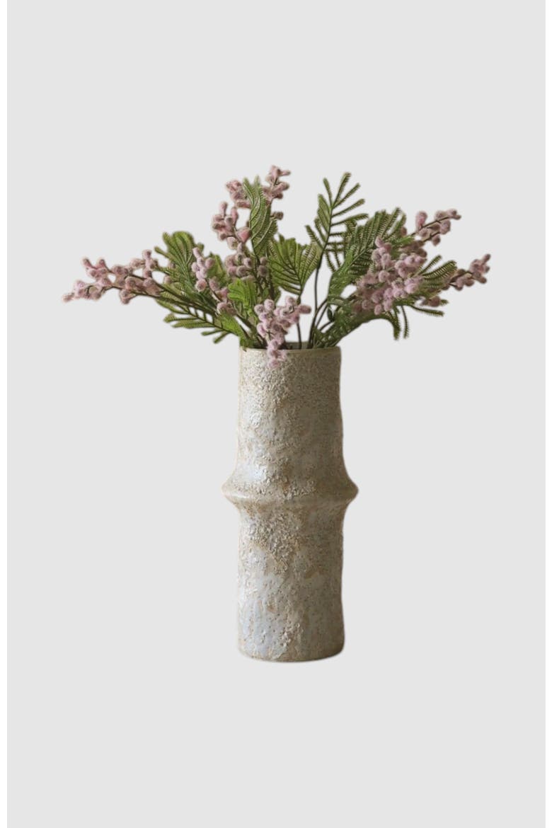 Pink Mini mimosa, Main, color, Pink