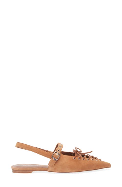 Jeffrey Campbell Geralt Pointed Toe Slingback Flat In Tan Suede