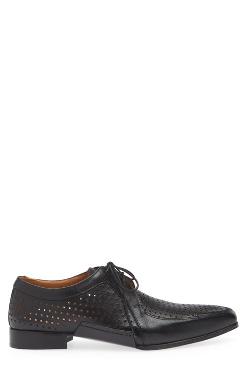 Mezlan Perforated Bike Toe Derby In Black
