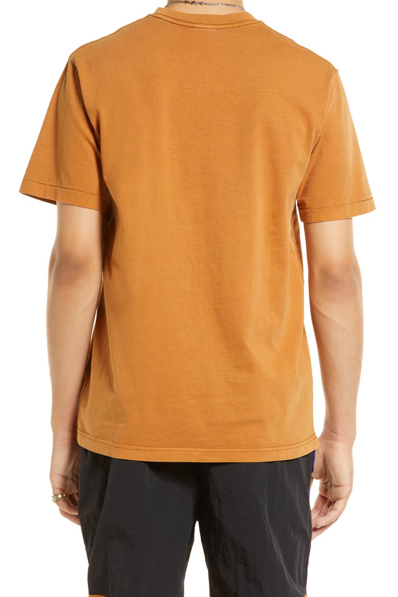 Pangea Embroidered T-Shirt, Alternate, color, BROWN SUGA