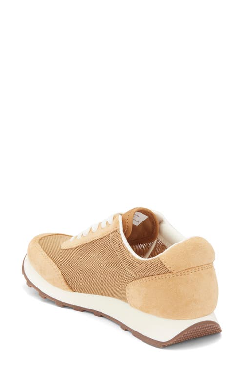Nordstrom Rack Valencia Mesh Sneaker In Brown