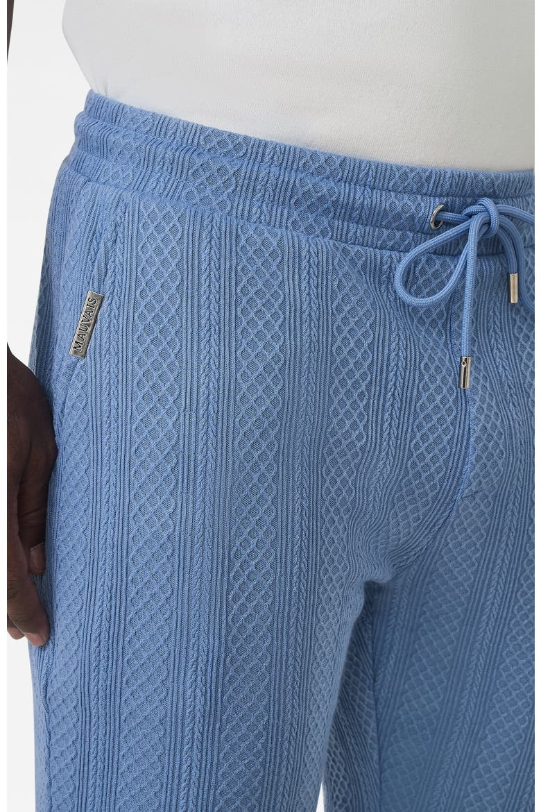 Tanami Textured Stretch Slim Shorts, Alternate, color, Medium Blue